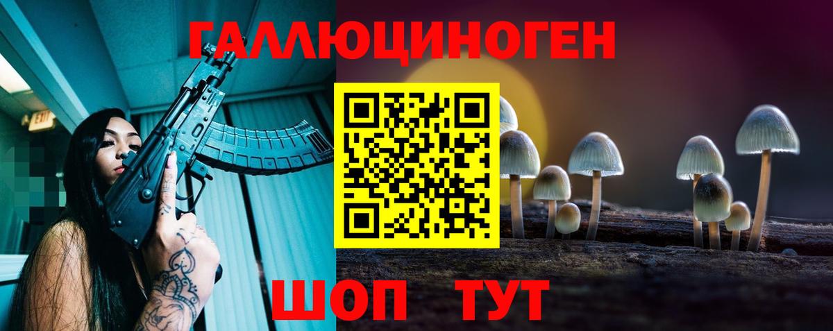 Галлюциногенные грибы GOLDEN TEACHER Гулькевичи